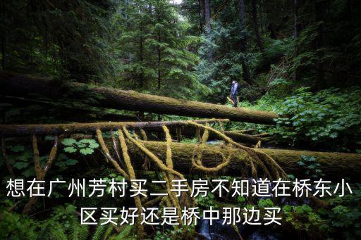 想在廣州芳村買二手房不知道在橋東小區(qū)買好還是橋中那邊買