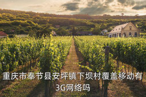 重慶市奉節(jié)縣安坪鎮(zhèn)下壩村覆蓋移動有3G網(wǎng)絡(luò)嗎