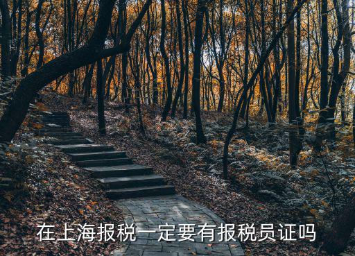 在上海報稅一定要有報稅員證嗎