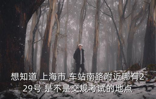 想知道 上海市 車站南路附近哪有229號 是不是交規考試的地點