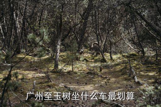 廣州至玉樹坐什么車最劃算
