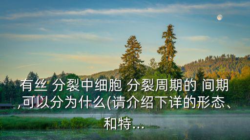 分裂間期,分裂過程及其他相關信息