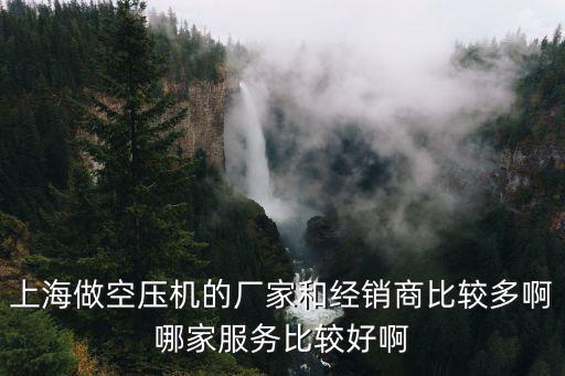 上海做空壓機的廠家和經銷商比較多啊哪家服務比較好啊