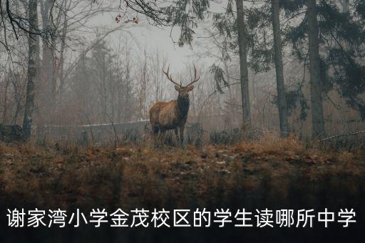 謝家灣小學(xué)金茂校區(qū)的學(xué)生讀哪所中學(xué)