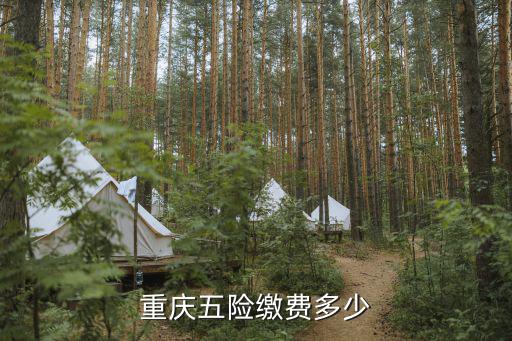 重慶五險繳費多少