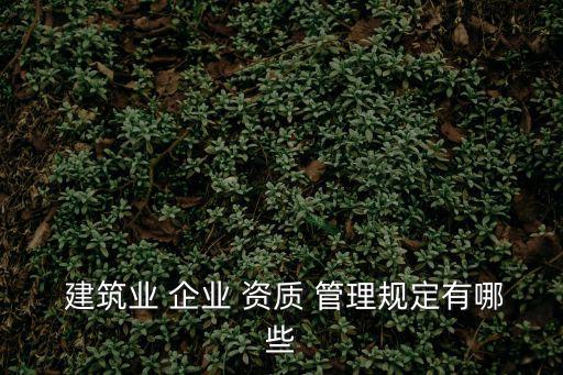  建筑業(yè) 企業(yè) 資質(zhì) 管理規(guī)定有哪些