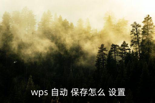  wps 自動 保存怎么 設置