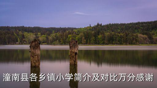 潼南縣各鄉鎮小學簡介及對比萬分感謝