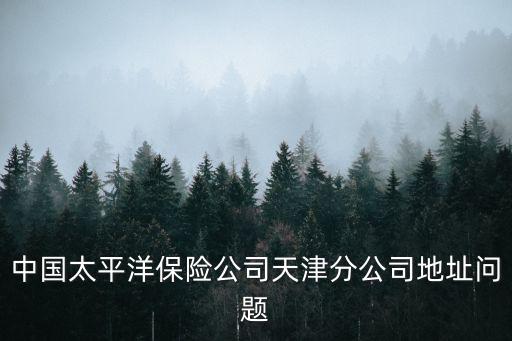 中國(guó)太平洋保險(xiǎn)公司天津分公司地址問(wèn)題