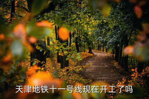 天津地鐵十一號線現在開工了嗎