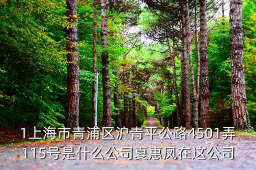 上海市泉江實業(yè)，上海市凱旋路3500號1號樓14F是什么公司