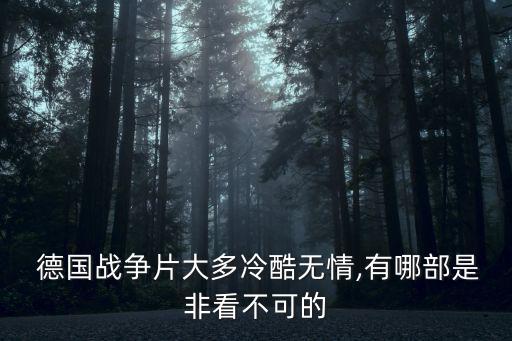  德國(guó)戰(zhàn)爭(zhēng)片大多冷酷無(wú)情,有哪部是非看不可的