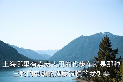上海哪里有賣老人用的代步車就是那種三輪的電動的速度很慢的我想要