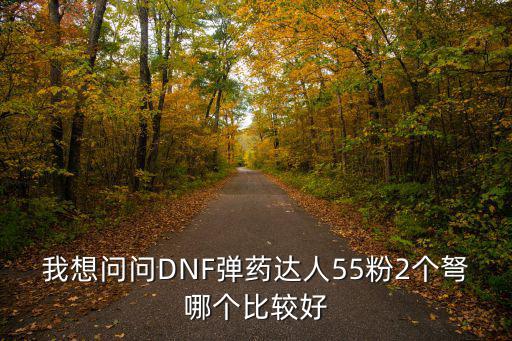 我想問問DNF彈藥達人55粉2個弩哪個比較好