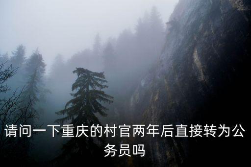 請問一下重慶的村官兩年后直接轉(zhuǎn)為公務(wù)員嗎