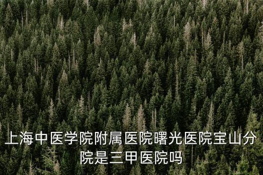 上海中醫學院附屬醫院曙光醫院寶山分院是三甲醫院嗎