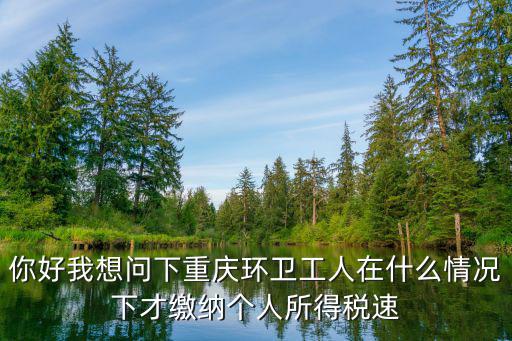 你好我想問下重慶環(huán)衛(wèi)工人在什么情況下才繳納個(gè)人所得稅速