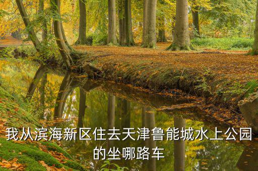 我從濱海新區住去天津魯能城水上公園的坐哪路車