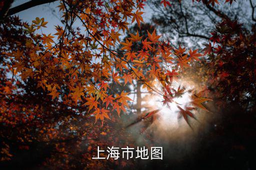 上海市地圖