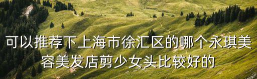 上海市的匠人發廊，可以推薦下上海市徐匯區的哪個永琪美容美發店剪少女頭比較好的