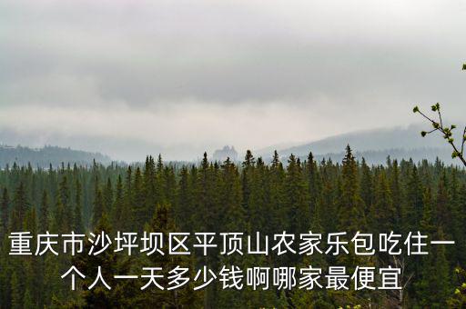 重慶市沙坪壩區平頂山農家樂包吃住一個人一天多少錢啊哪家最便宜