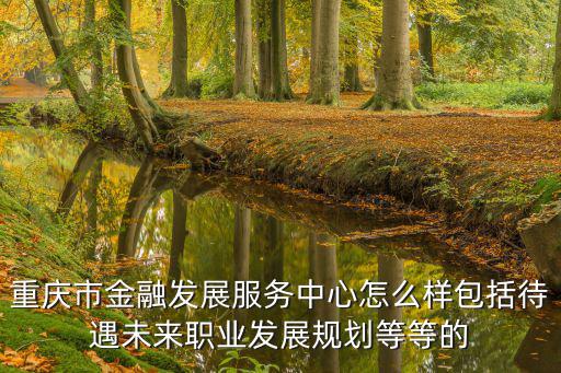 重慶市金融發(fā)展服務(wù)中心怎么樣包括待遇未來職業(yè)發(fā)展規(guī)劃等等的