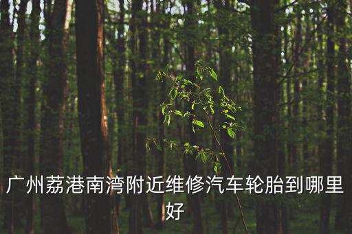 廣州荔港南灣附近維修汽車輪胎到哪里好