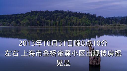 2013年10月31日晚8點10分左右 上海市金橋金葵小區出現樓房搖晃是