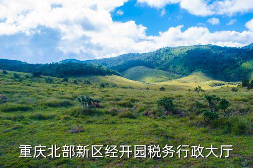 重慶市經開區稅收政策，重慶主城各區有免稅區域嗎 投資額度有要求嗎