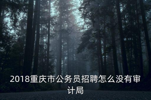 重慶市審計局招聘公示，重慶市屬事業單位招聘公告534人有專業限制嗎