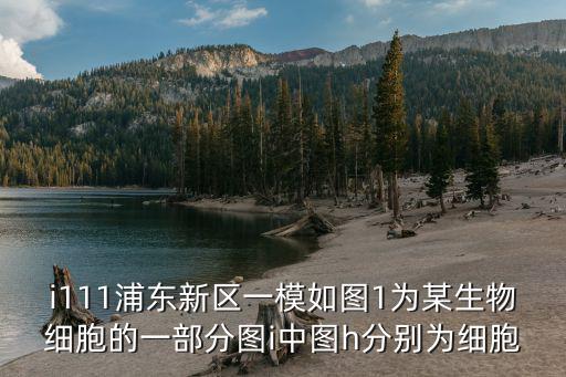 i111浦東新區一模如圖1為某生物細胞的一部分圖i中圖h分別為細胞