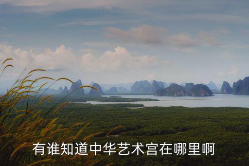 有誰知道中華藝術宮在哪里啊
