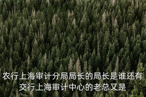 上海市農場分局領導，農行上海審計分局局長的局長是誰還有交行上海審計中心的老總又是