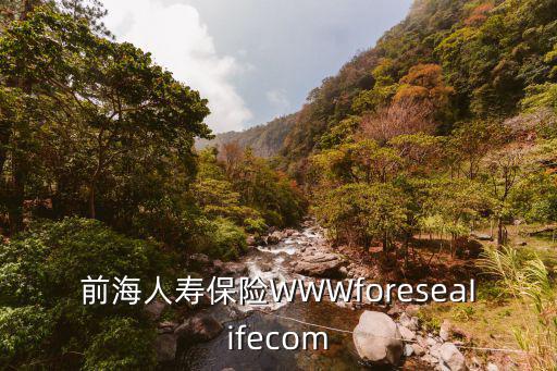 廣州前海人壽保險企業，前海人壽保險WWWforeseaIifecom
