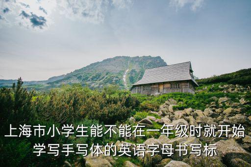 上海市小學生能不能在一年級時就開始學寫手寫體的英語字母書寫標