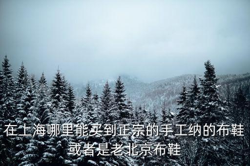 上海市桂平路188號b1，人民廣場去徐匯區(qū)桂平路188號最快乘車路線