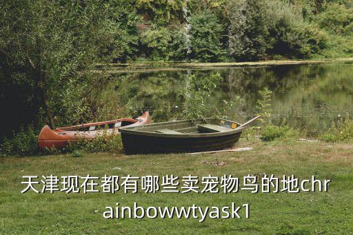 天津現(xiàn)在都有哪些賣寵物鳥的地chrainbowwtyask1