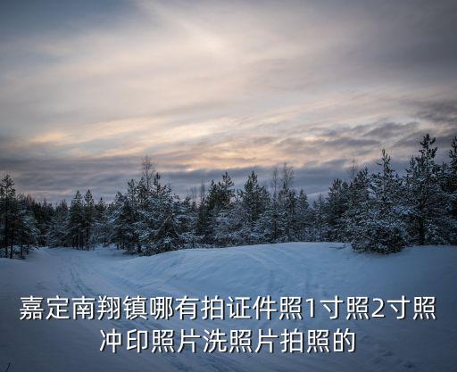 嘉定南翔鎮哪有拍證件照1寸照2寸照沖印照片洗照片拍照的