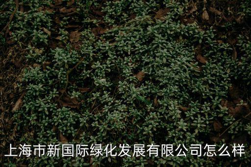 上海市新國際綠化發展有限公司怎么樣