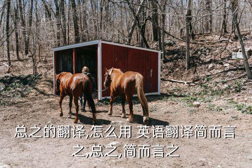 總之的翻譯,怎么用 英語翻譯簡而言之,總之,簡而言之