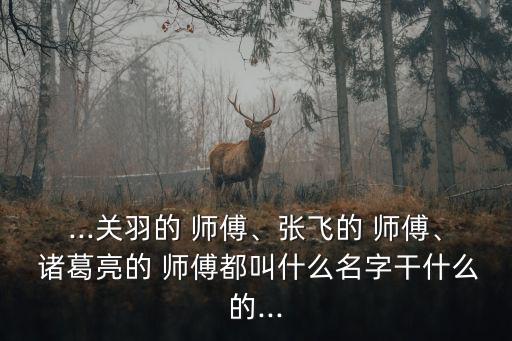 諸葛亮的師傅,關羽張飛的師傅是孫武將所學傳授給馬云