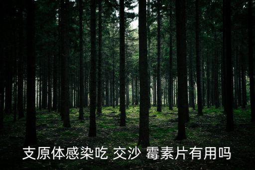 支原體感染吃 交沙 霉素片有用嗎