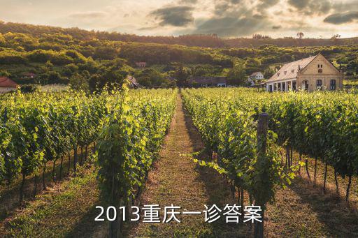 2013重慶一診答案
