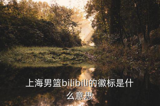 上海男籃bilibili的徽標是什么意思