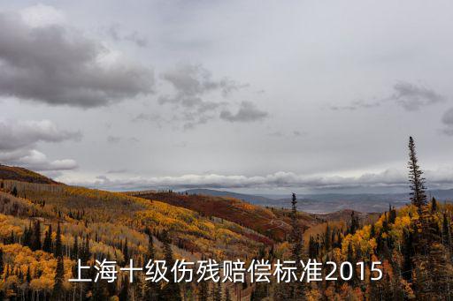 上海十級傷殘賠償標準2015