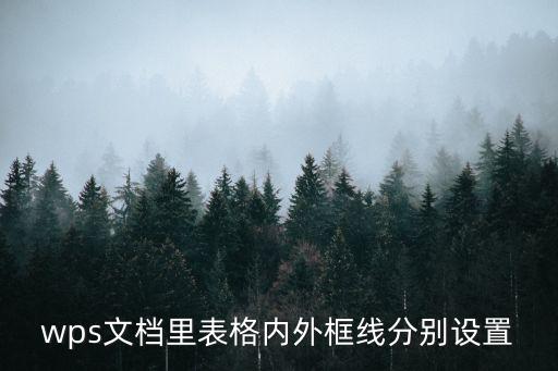 wps文檔里表格內外框線分別設置