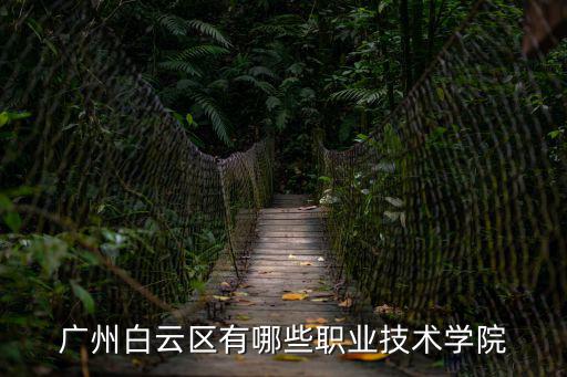 廣州的那些職業科技學院，廣州白云區有哪些職業技術學院