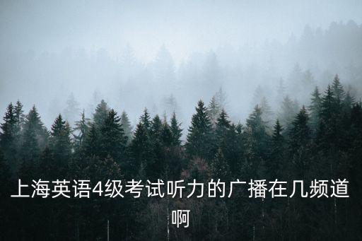 上海英語4級(jí)考試聽力的廣播在幾頻道啊
