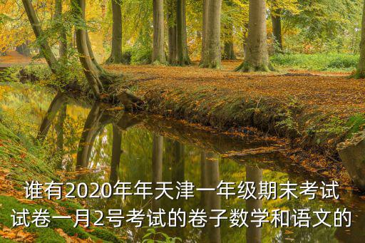 誰有2020年年天津一年級期末考試試卷一月2號考試的卷子數學和語文的