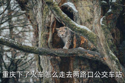 重慶下了火車怎么走去兩路口公交車站